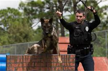 Officer and K9 training